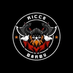 riccobarbu avatar