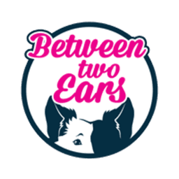 Between2Ears avatar