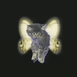 explicitxgaia avatar