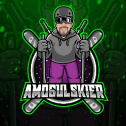 amogulskier avatar