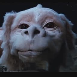 falkorofficial avatar