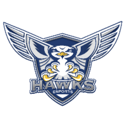 HCCesports avatar