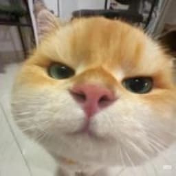 cas696 avatar