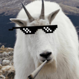 zanian_ avatar