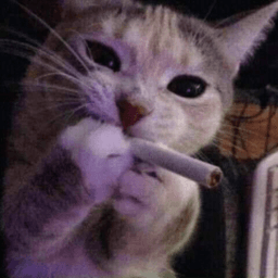 pivnoyskaut avatar