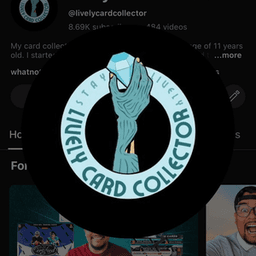lively_cc avatar