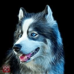 Zorinator999 avatar