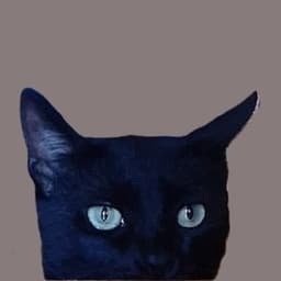 deimianss avatar