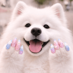 SAMMYMIFY avatar
