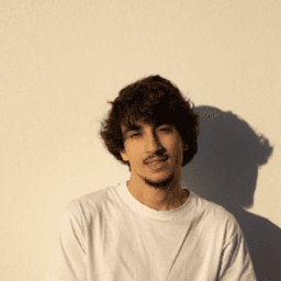 miguelalvesz avatar