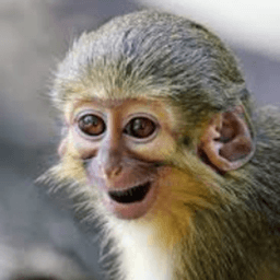 PajiloyGabon avatar