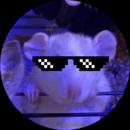 mrratteamhun avatar