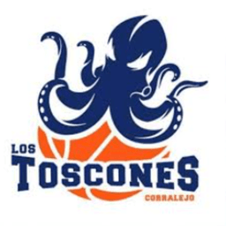 lostoscones avatar