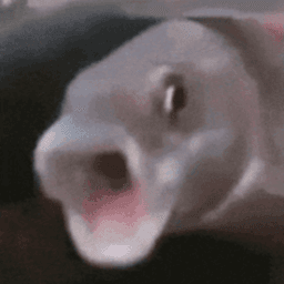 DeepSwimming avatar