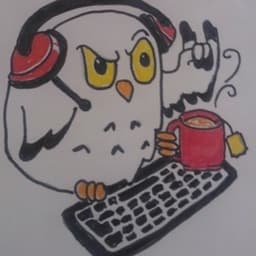 AaltoEinari avatar