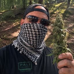Ypzl8 avatar