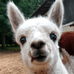 wpfarm avatar