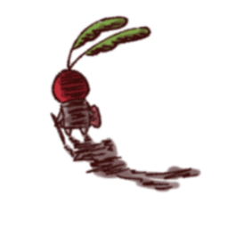 TableRadish avatar