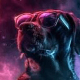 picerpoo avatar