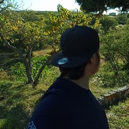 lobitootv avatar