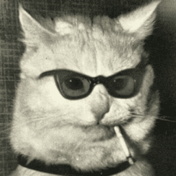 apterous420 avatar
