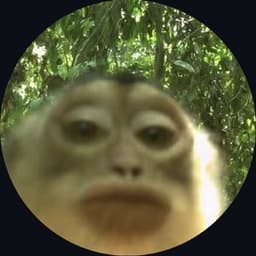 LordOfPlankton avatar