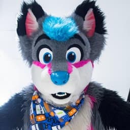 HavenFusky avatar