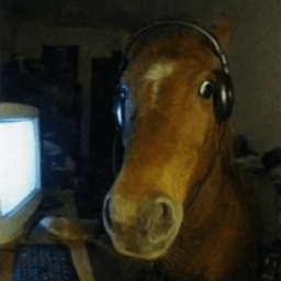 yangmalte avatar