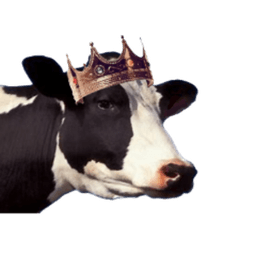 ReignofCows avatar