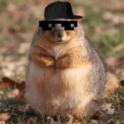chunksterchunkus avatar