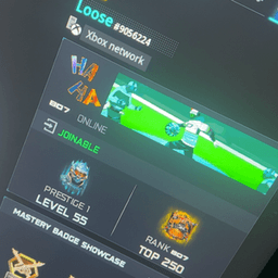 bigloose30 avatar