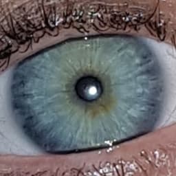 LexyWinchester_ avatar