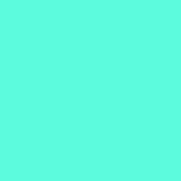 Icebearr__ avatar
