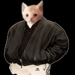 sllava125 avatar
