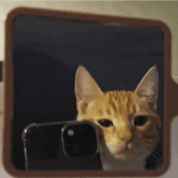elgoldenkha avatar