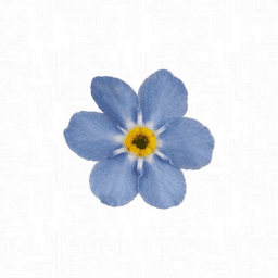 ssulfurr avatar