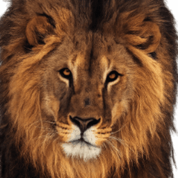KobertAurenWolf avatar