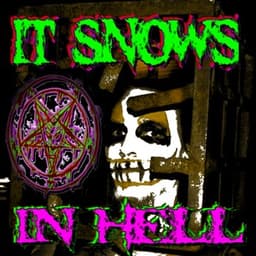 ItSnows_InHell avatar