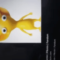 plantknowsyourlocation avatar