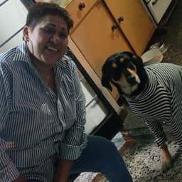 mujocomas avatar