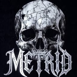 Metridd avatar
