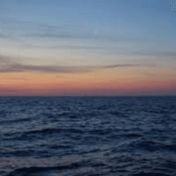 247Ocean avatar