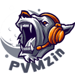 PVMzinn avatar