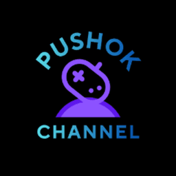 the_push0k avatar
