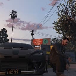 theesev avatar
