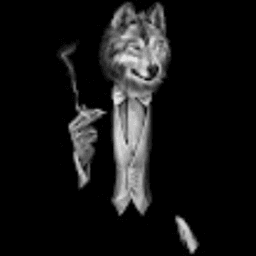 mr_wolf__ttv avatar