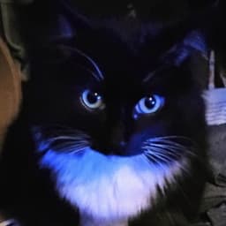 mrzero_19_ avatar