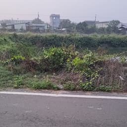 超級賽亞人藍 avatar