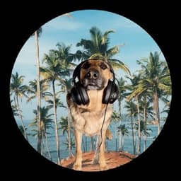 WhereAmI13 avatar