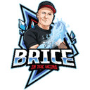 BriceInTheVeins avatar